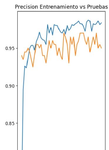 Precision Entrenamiento Vs Pruebas (Con transferencia de Aprendizaje)