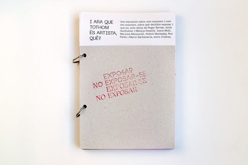 Exponer · No exponerse · Exponerse · No exponer / Publicación Modular 1