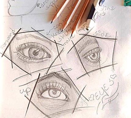 Study of the Human Face 1