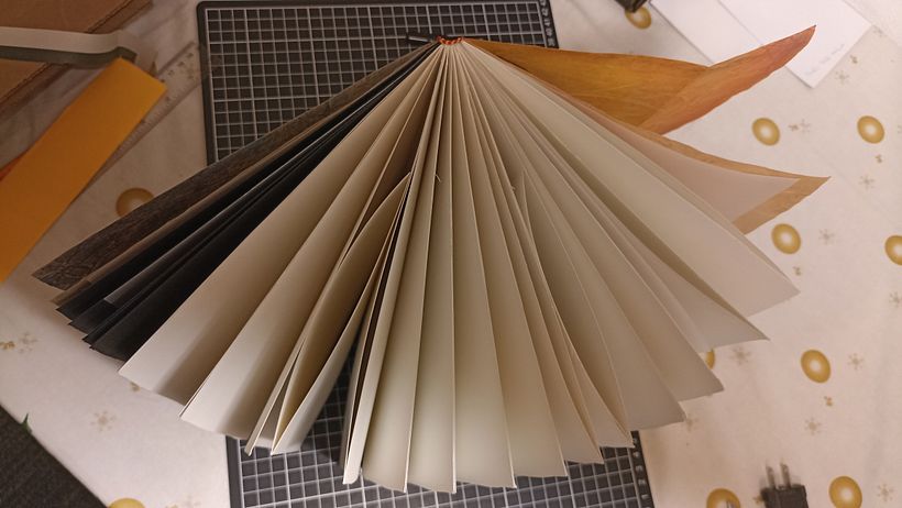 Coloqué algunas hojas de cartulina negra y papel albanene. Dos hojas para hacer algo más grande (dobladas)