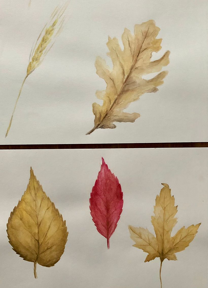 My project for course: Botanical Illustration with Watercolors 2