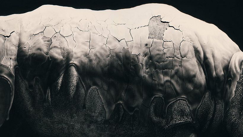 Skin detail of 'Rhino in the Mud' (2023)