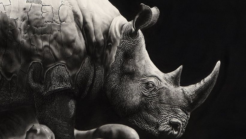 Head detail of 'Rhino in the Mud' (2023)