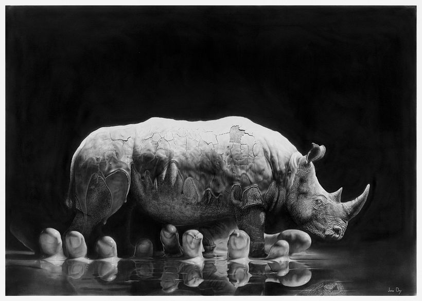 Final drawing 'Rhino in the Mud' (2023)
