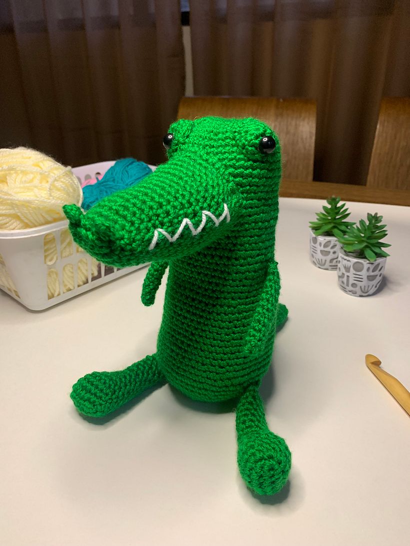 My project for course: Crochet: Create and Customize Your Amigurumi 1