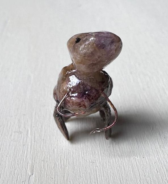 The Greeter, an insect from the New World