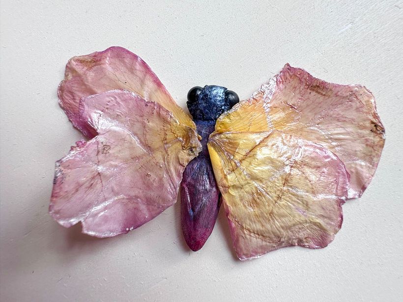The Hovering Diamond, an butterfly from the New World