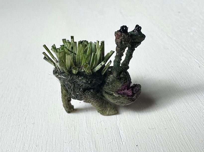 The Grassgulper, a tiny animal from the New World
