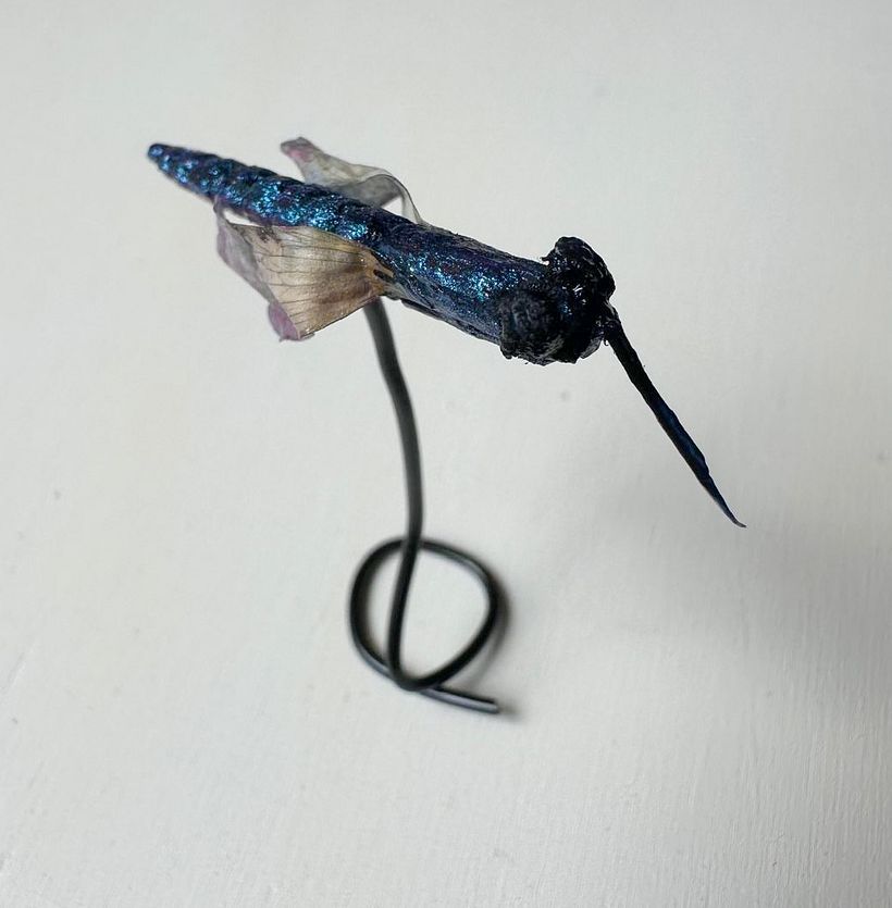 The Horned Emerald Dragonfly, from the New World