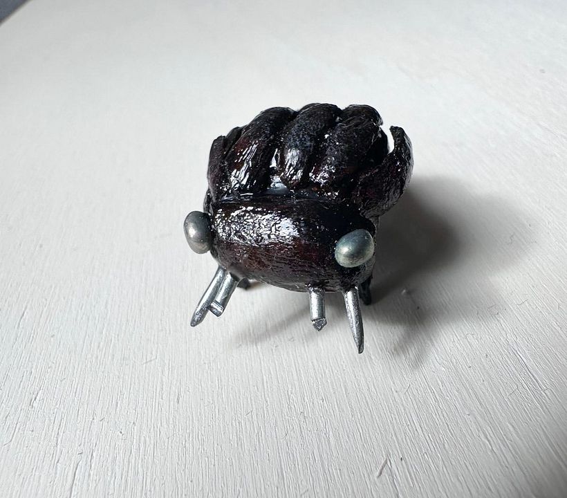 The Beetlehog, a type of beetle from the New World