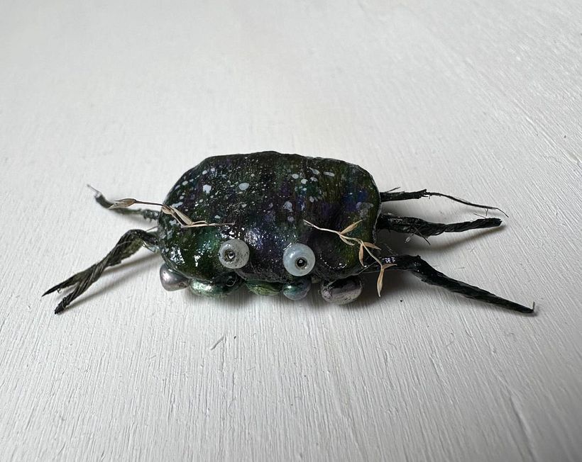 The King's Shieldcarrier, a small type of crab from the New World