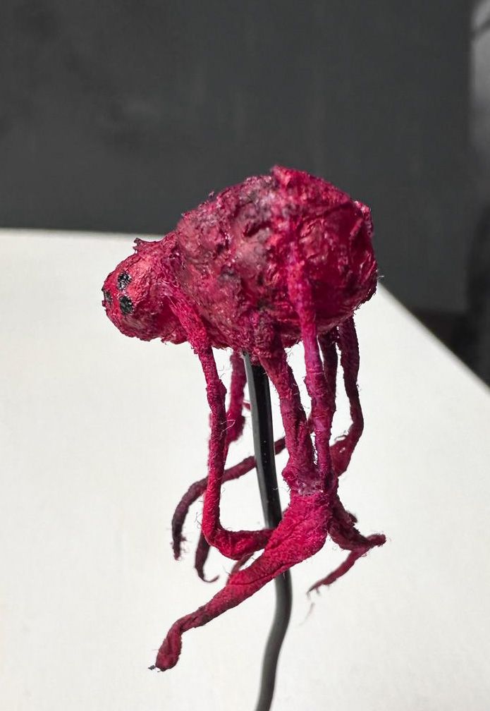 The Emberheart, a type of spider from the New World