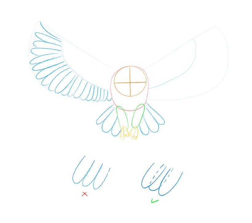 Adding the wings, tail and feathers