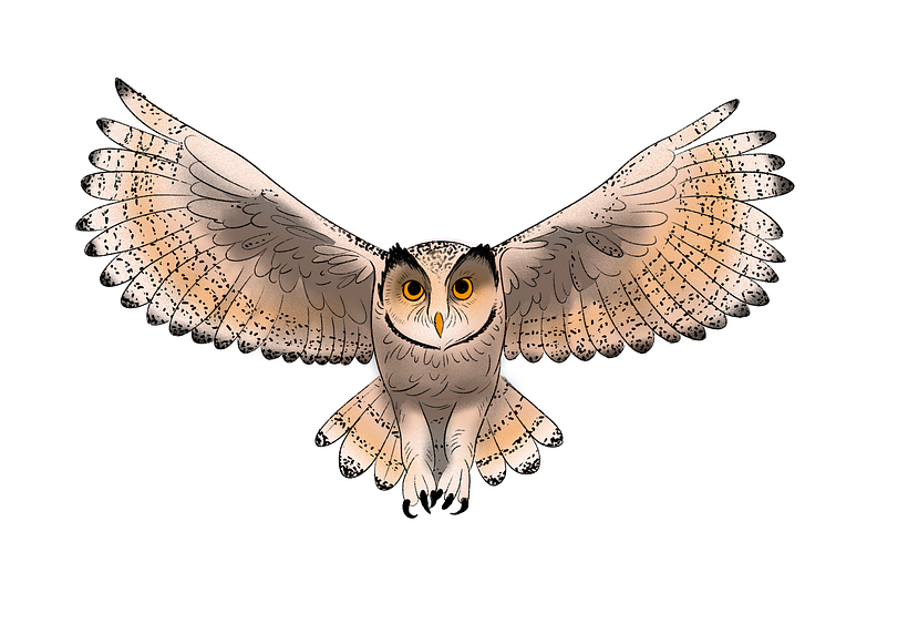 Final drawing