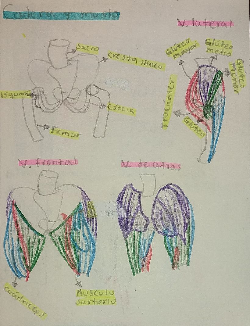 Mi proyecto del curso: Dibujo anatómico de extremidades, manos y pies 6
