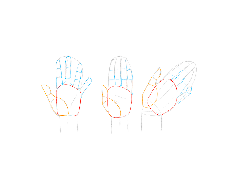 Construction of the hand
