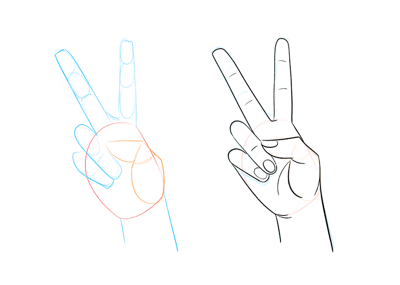 Three sections on each finger