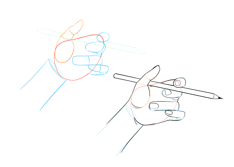 The palm of the hand