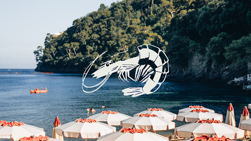 Mi proyecto del curso: Introducción al diseño de isotipos 1