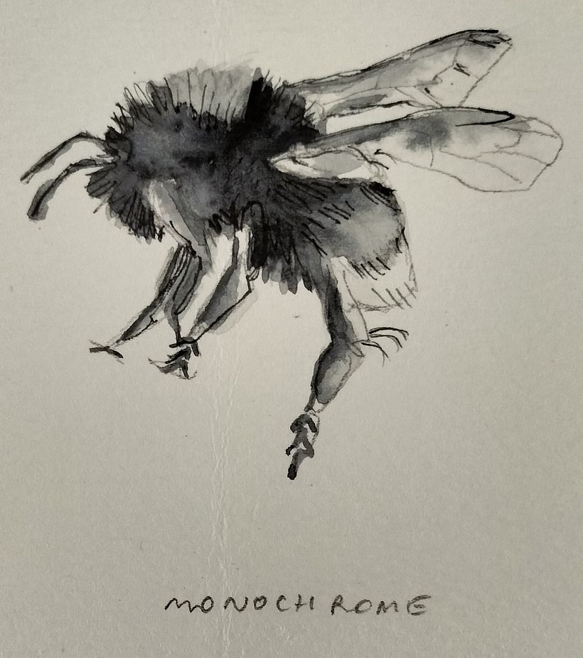 Painting Bumblebees in flight on Illustrating the Natural World in watercolour and charcoal 5