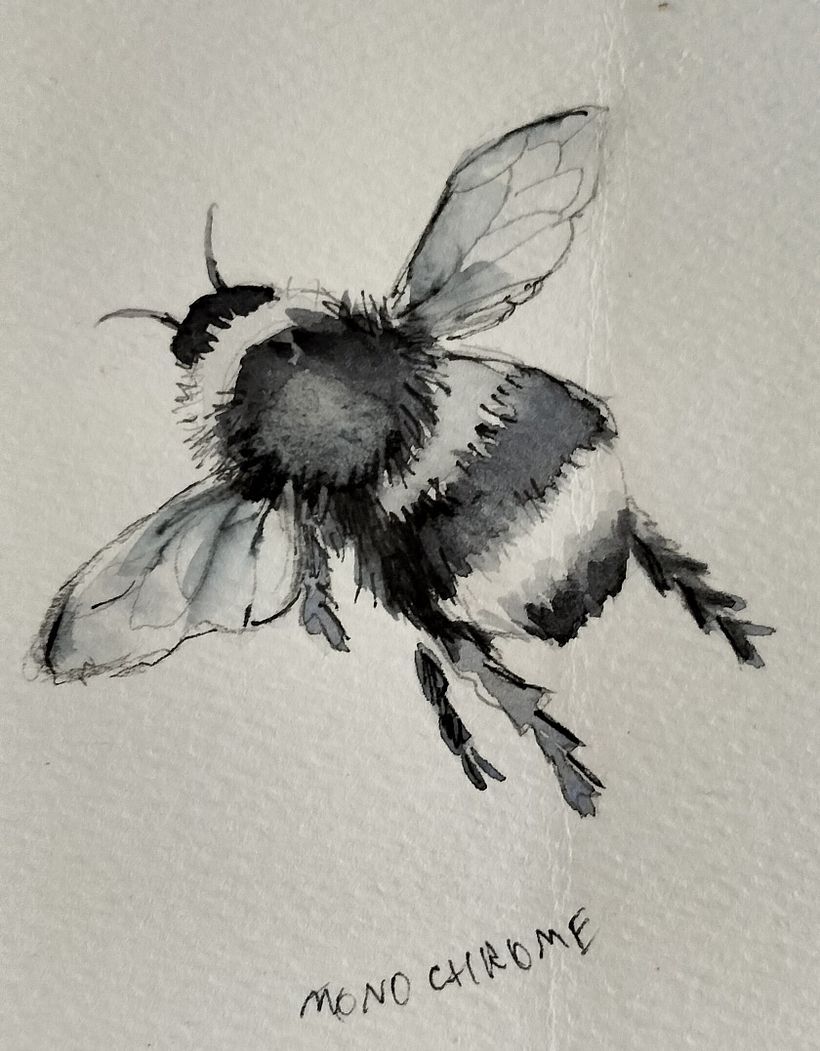 Painting Bumblebees in flight on Illustrating the Natural World in watercolour and charcoal 3