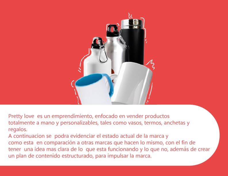 Mi proyecto del curso: Introducción al community management 2