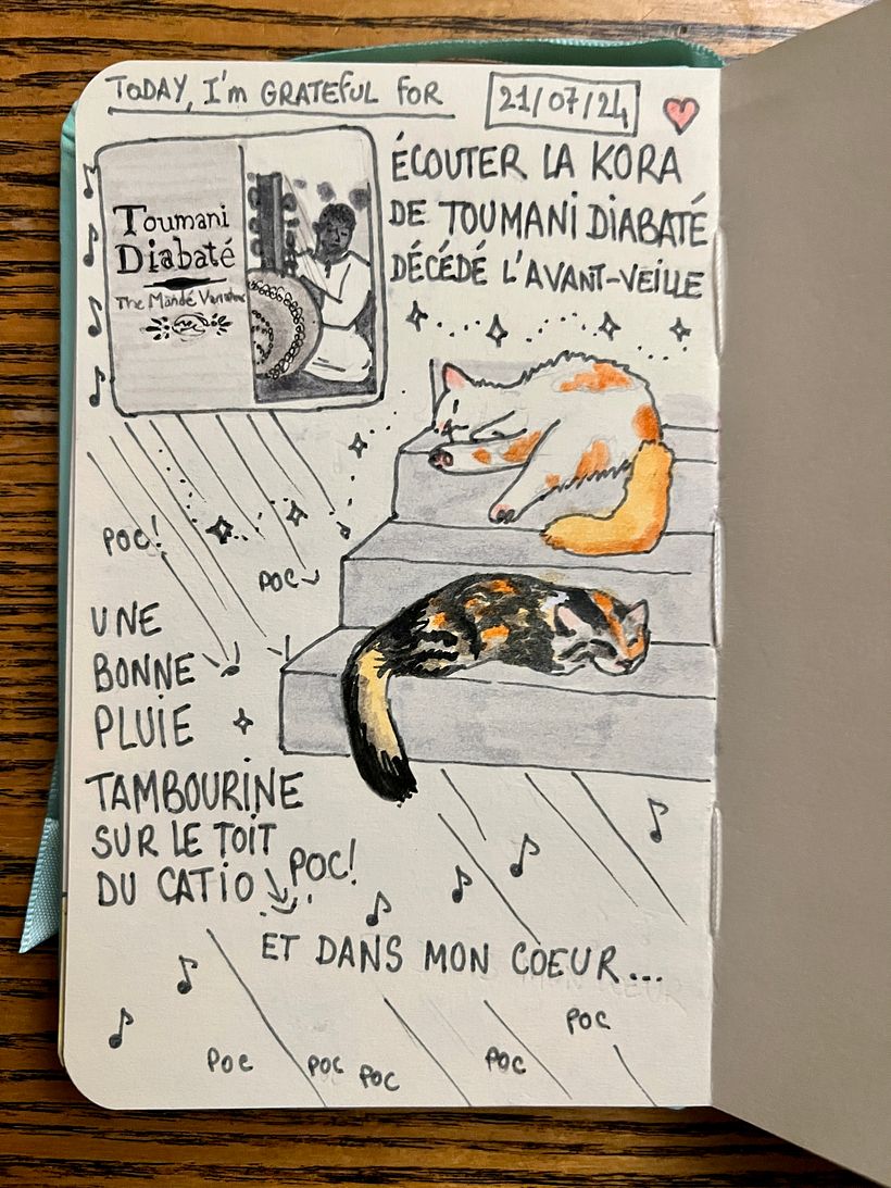 It rains and the drops drum on the catio roof and on my heavy heart. I listen to beautiful kora music by Toumani Diabaté, RIP