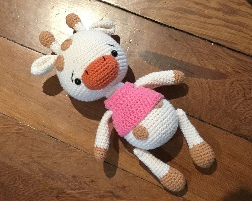 Mi proyecto del curso: Amigurumi para principiantes: teje animales en crochet 3