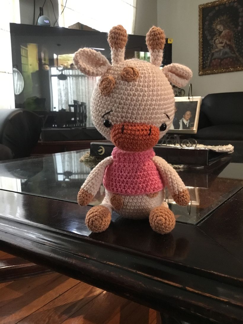 Mi proyecto del curso: Amigurumi para principiantes: teje animales en crochet 1