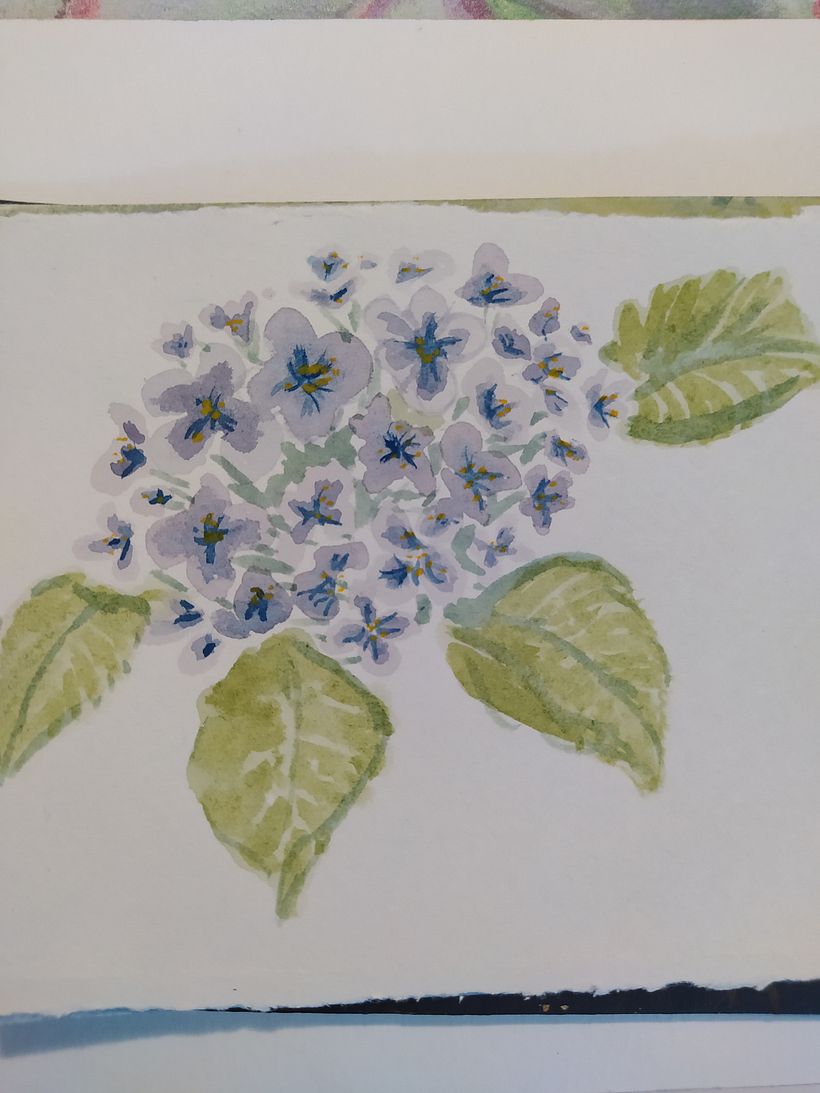 Soltando la mano - Illustration traditionnelle