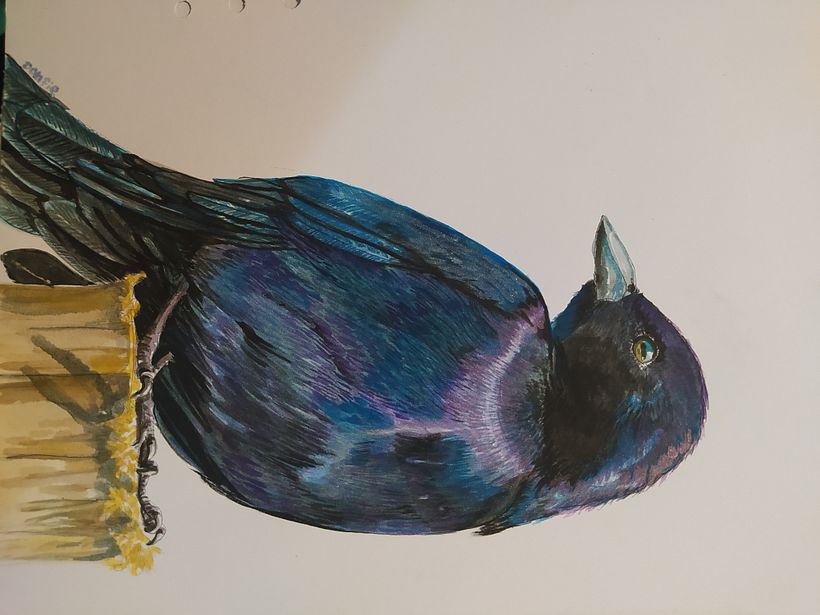 Soltando la mano - Illustration traditionnelle