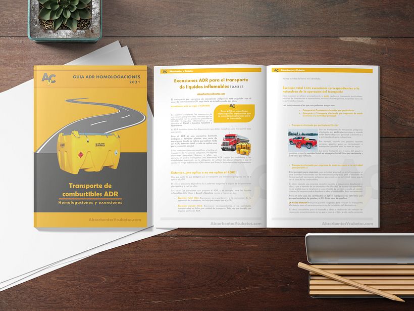 Guías diseño + copy 2