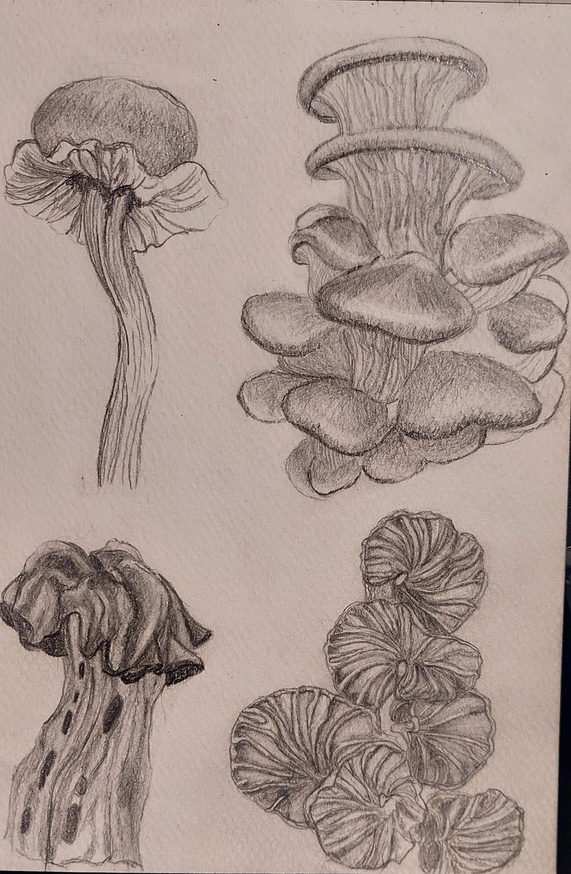 Practicando texturas y formas de hongos