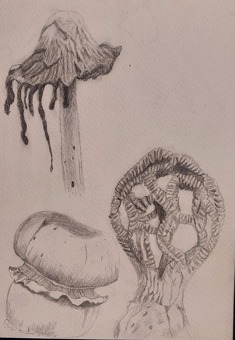 Mi proyecto del curso: Sketchbook de naturaleza fantástica: dibuja criaturas de otro mundo 8
