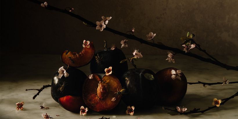 Symbols in Still Life Art