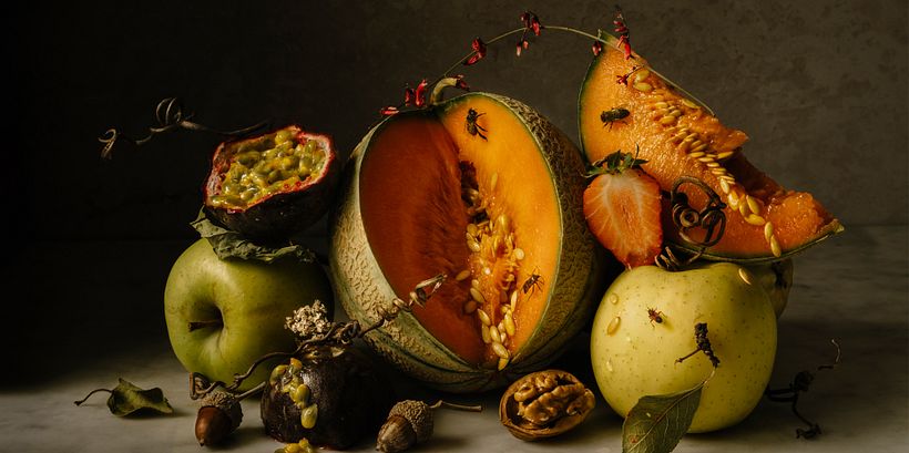 Symbols in Still Life Art