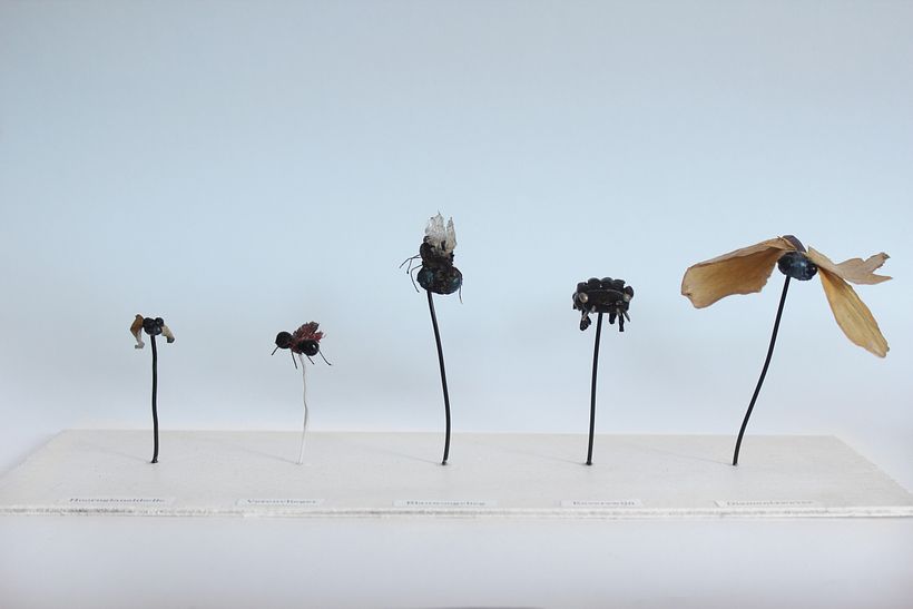Creating fantastical insects* 2