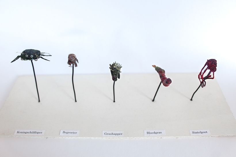 Creating fantastical insects* 1