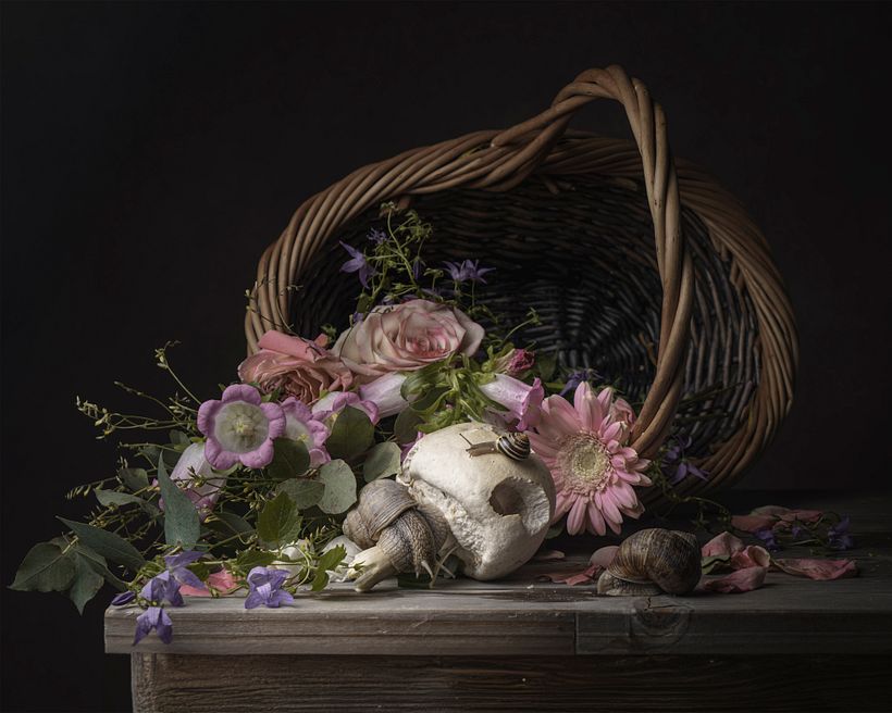 Kwiaty i ślimaki 10