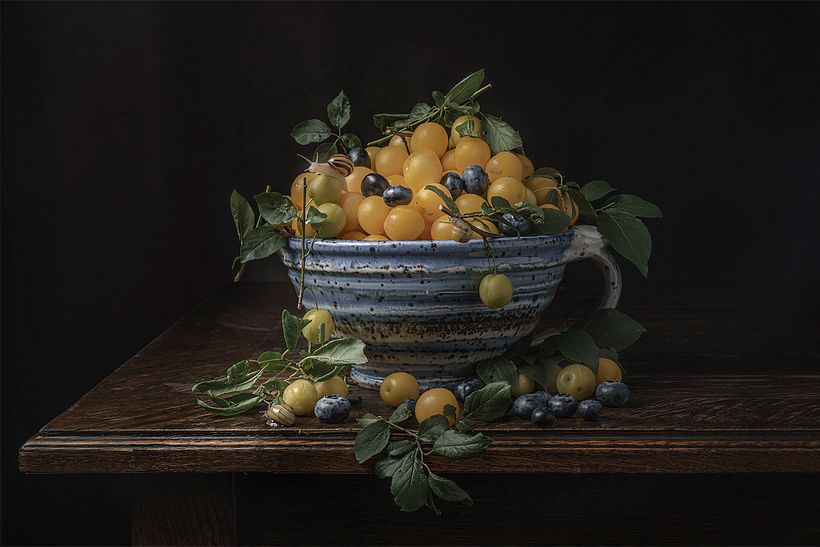 Kwiaty i ślimaki 11