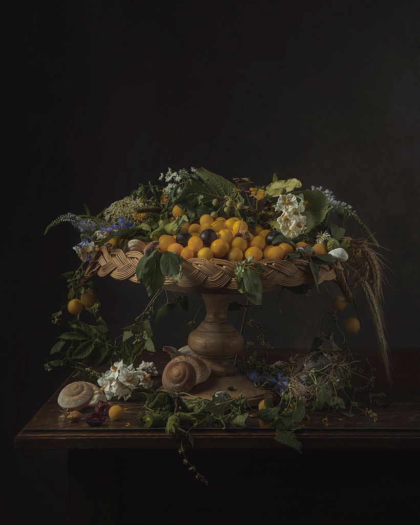 Kwiaty i ślimaki 12