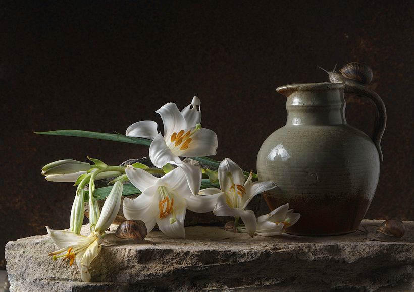 Kwiaty i ślimaki 13