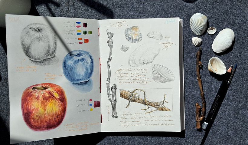 Mój projekt z kursu: Notatnik botaniczny wykonany techniką akwareli 3
