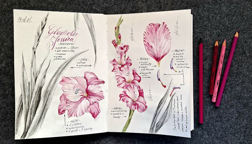 Mój projekt z kursu: Notatnik botaniczny wykonany techniką akwareli 8