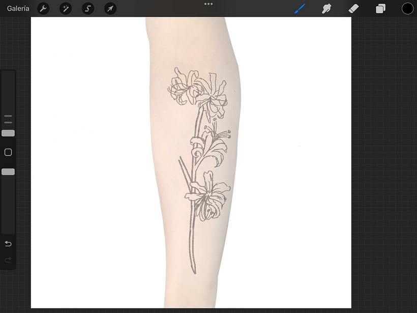 Primer boceto