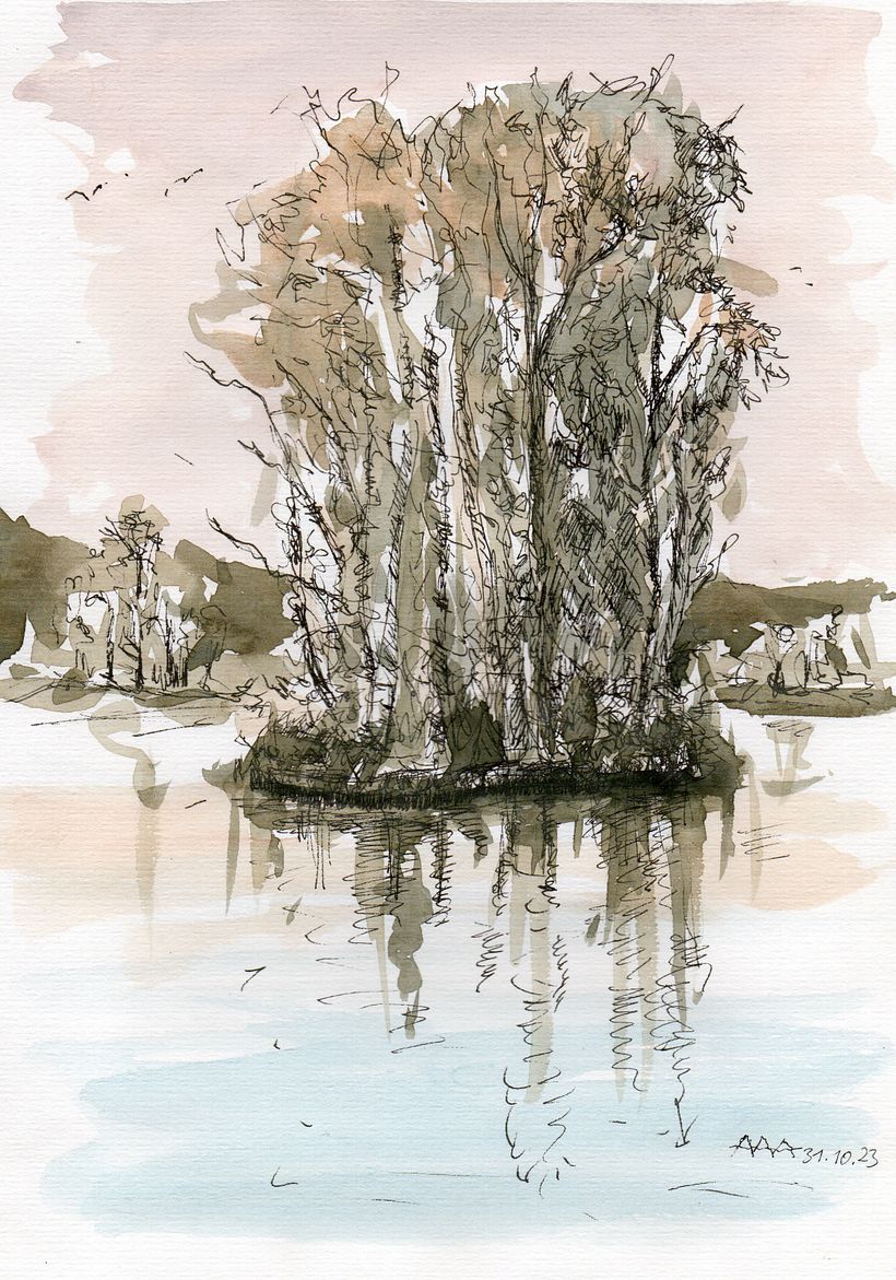 Wooden Island