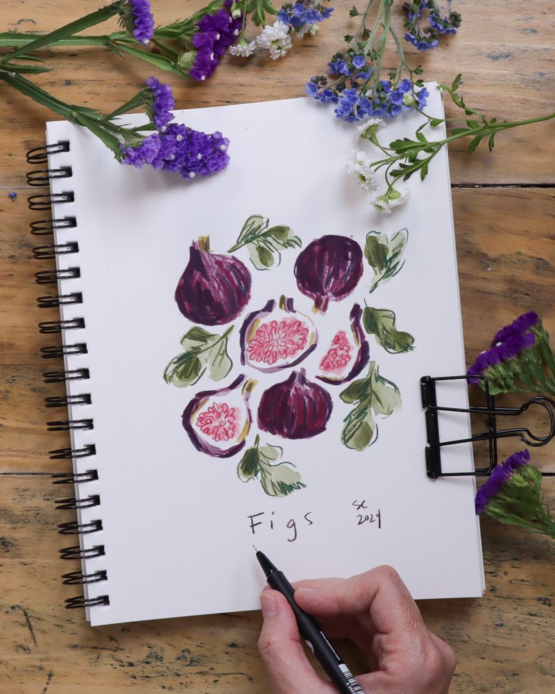 Shayda's Sketchbook 13