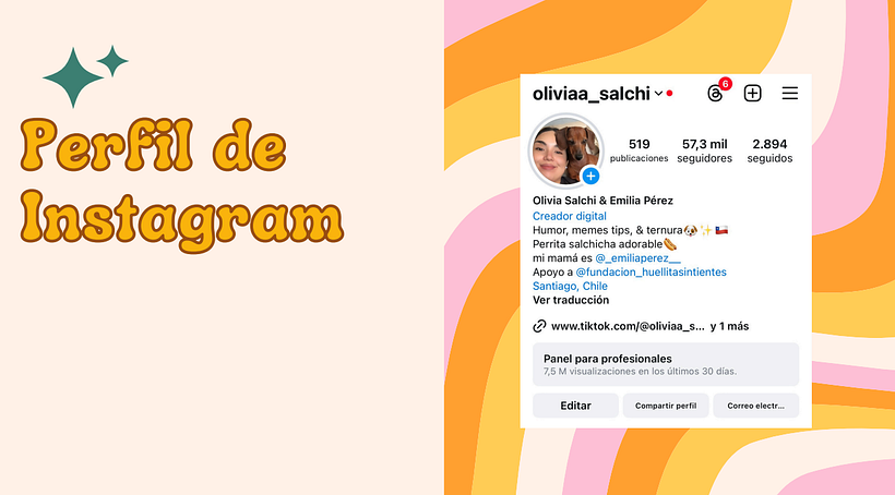 Mi proyecto del curso: Introducción al community management 4