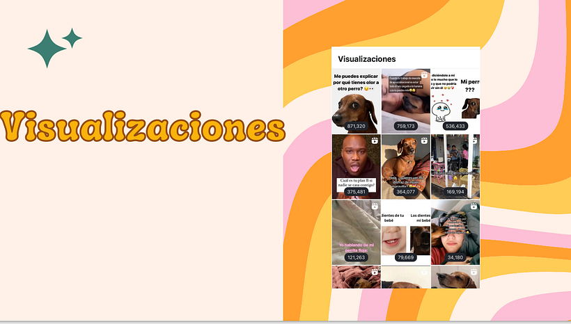 Mi proyecto del curso: Introducción al community management 6