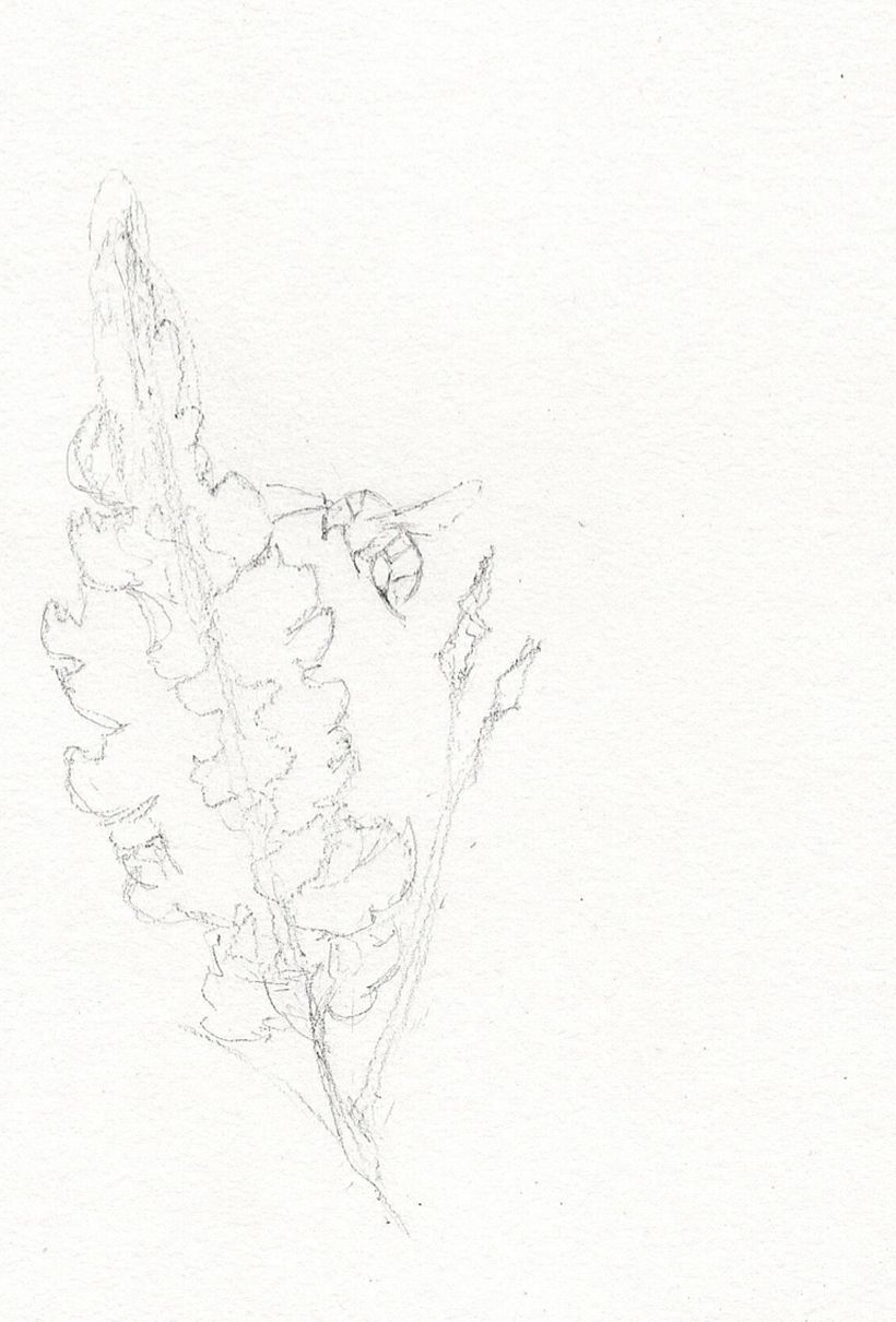 Here is a drawing that you can use :)